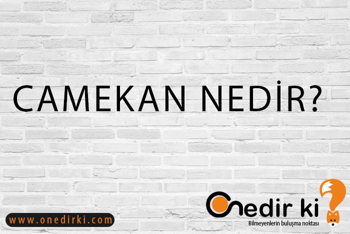 CAMEKAN NEDİR? 1