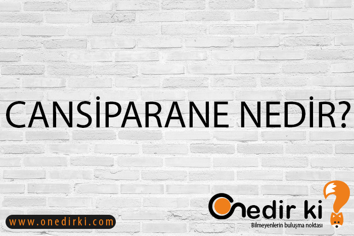 CANSİPARANE NEDİR? 1