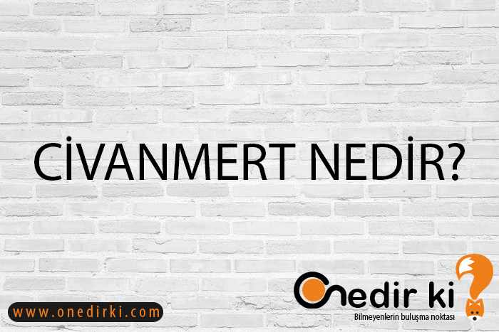 CİVANMERT NEDİR? 2