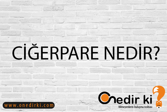 CİĞERPARE NEDİR? 3