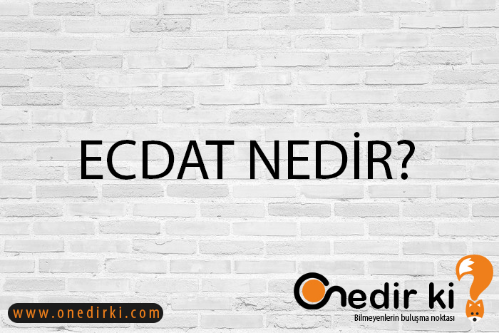 ECDAT NEDİR? 1