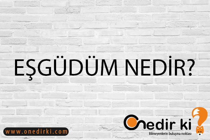 EŞGÜDÜM NEDİR? 3