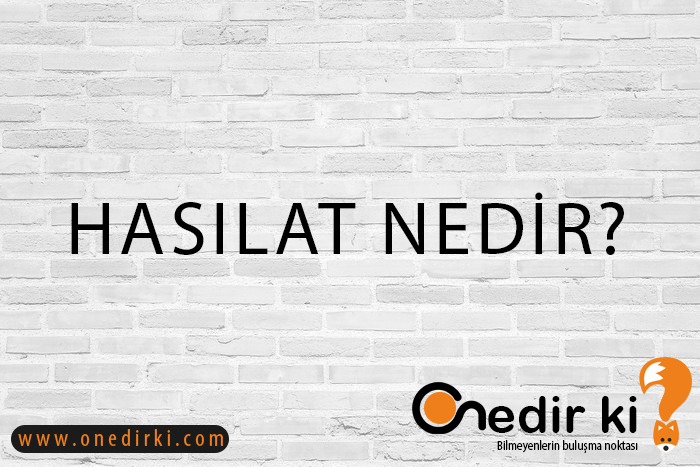 HASILAT NEDİR? 9