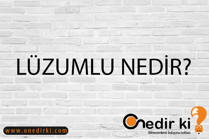 LÜZUMLU NEDİR? 2