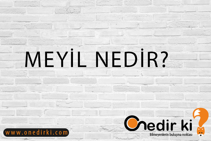 MEYİL NEDİR? 1