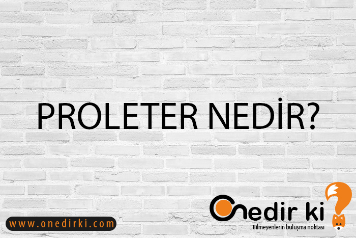 PROLETER NEDİR? 1