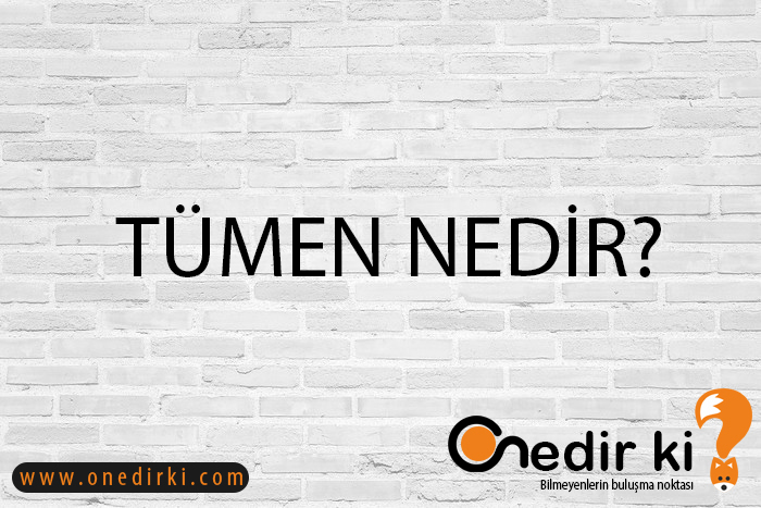 TÜMEN NEDİR? 1