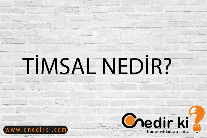 TİMSAL NEDİR? 3