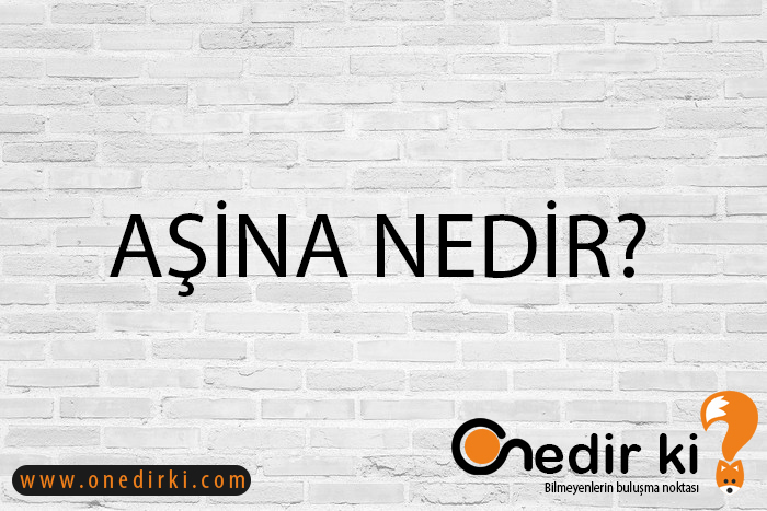 AŞİNA NEDİR? 1