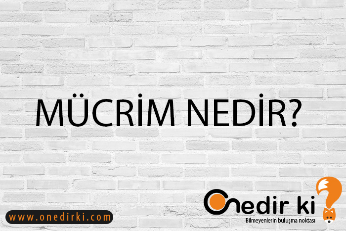 MÜCRİM NEDİR? 1