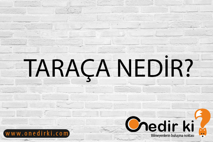 TARAÇA NEDİR? 1