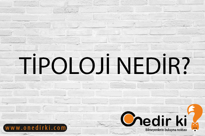 TİPOLOJİ NEDİR? 1