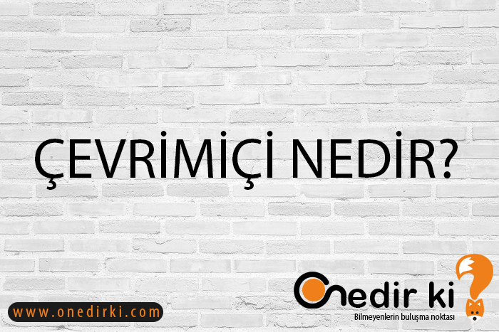 ÇEVRİMİÇİ NEDİR? 2