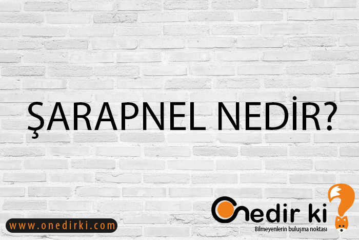 ŞARAPNEL NEDİR? 1