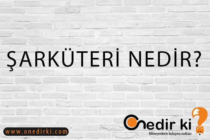 ŞARKÜTERİ NEDİR? 6