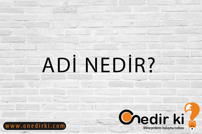 ADİ NEDİR? 4