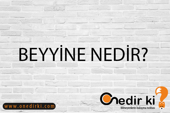 BEYYİNE NEDİR? 2