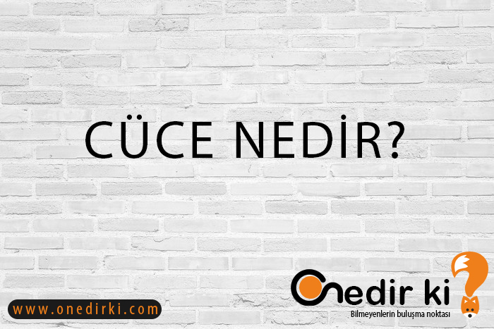 CÜCE NEDİR? 3