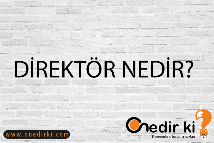 DİREKTÖR NEDİR? 1