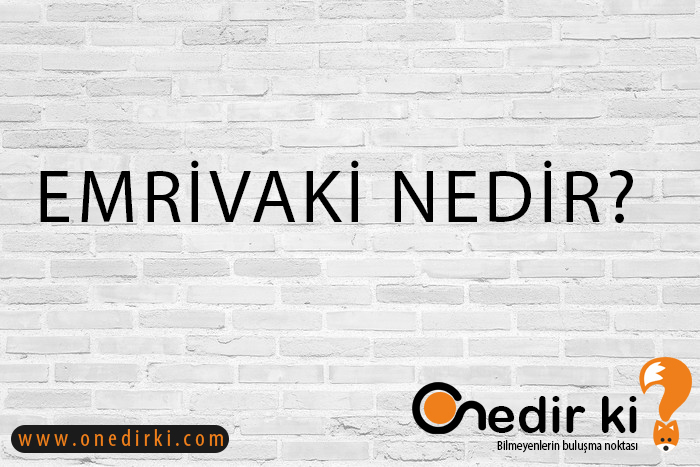 EMRİVAKİ NEDİR? 2