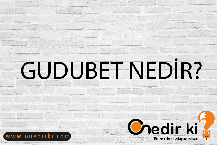 GUDUBET NEDİR? 2