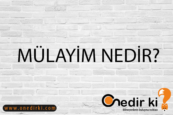 MÜLAYİM NEDİR? 4