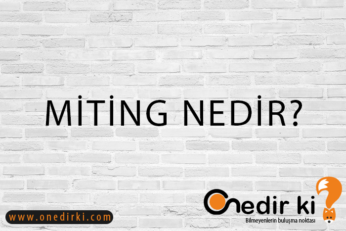 MİTİNG NEDİR? 1