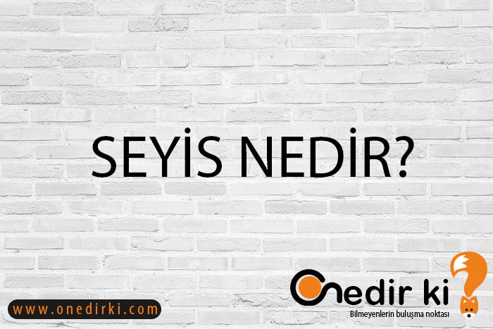 SEYİS NEDİR? 9