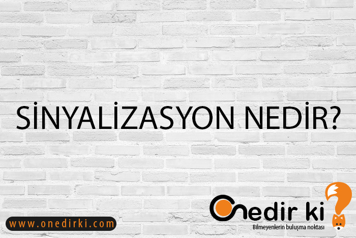 SİNYALİZASYON NEDİR? 1