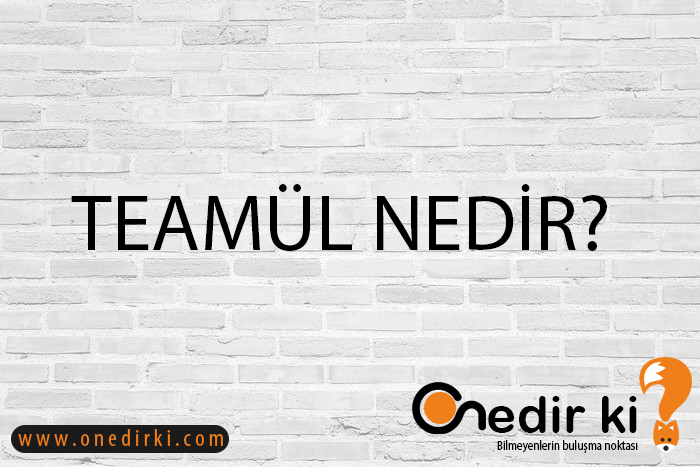TEAMÜL NEDİR? 7