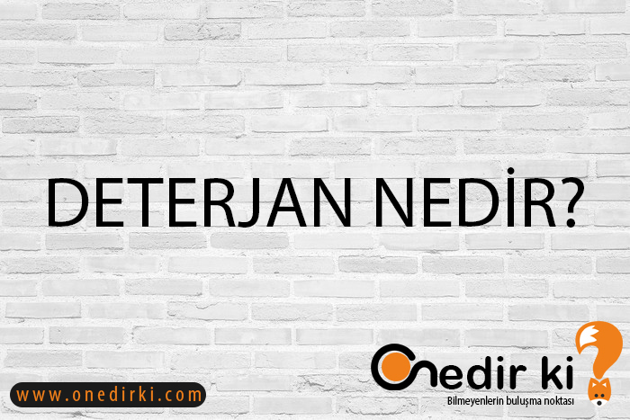 DETERJAN NEDİR? 1