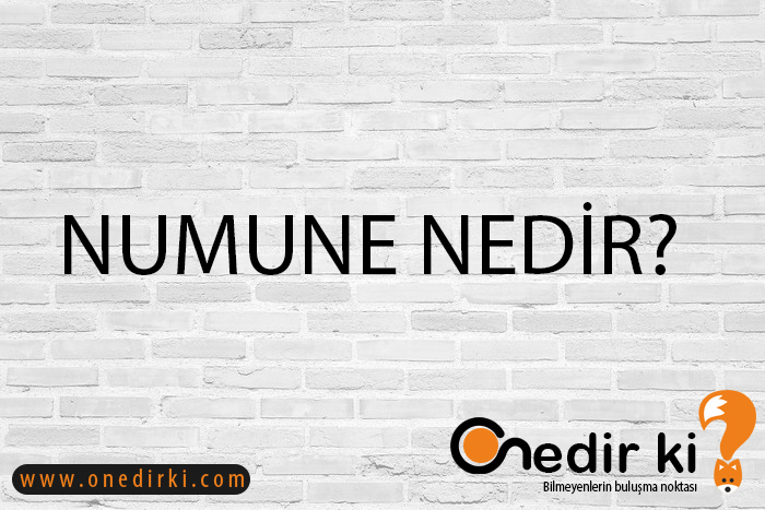 NUMUNE NEDİR? 1