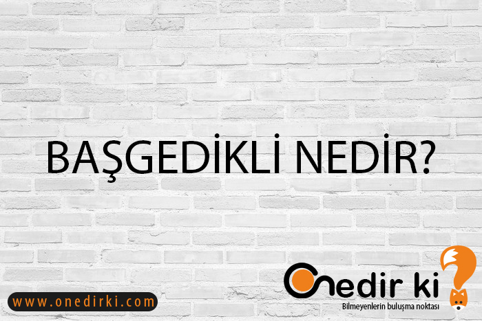 BAŞGEDİKLİ NEDİR? 1