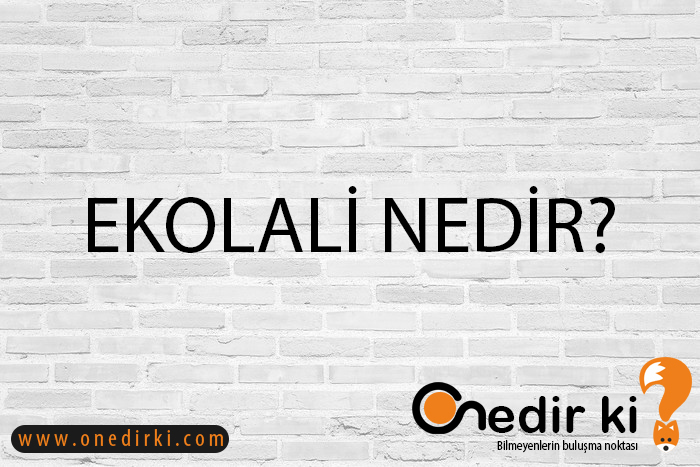 EKOLALİ NEDİR? 6