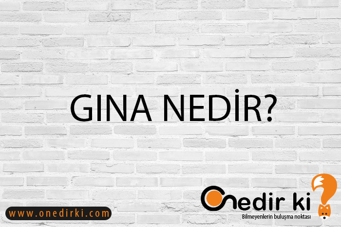 GINA NEDİR? 1