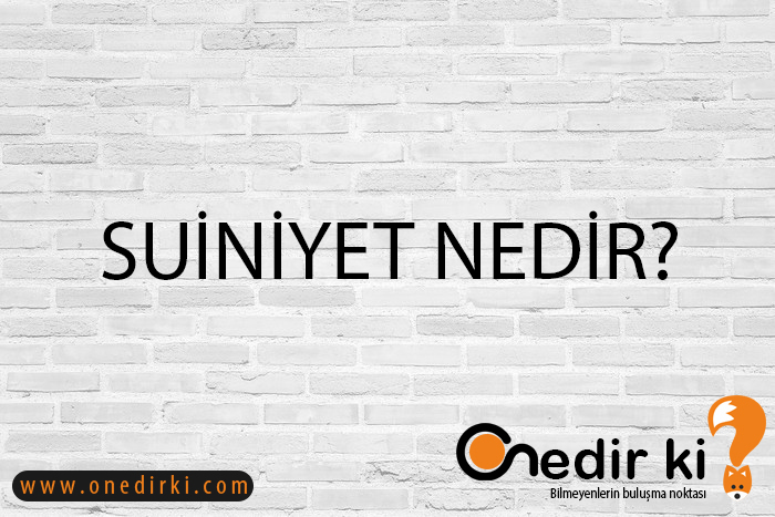 SUİNİYET NEDİR? 2