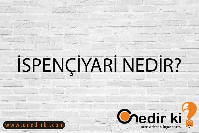 İSPENÇİYARİ NEDİR? 1