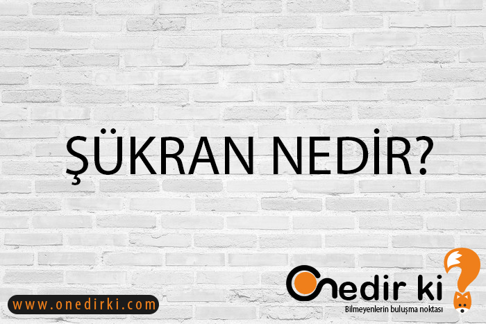 ŞÜKRAN NEDİR? 3