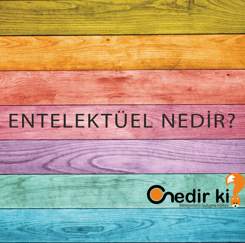 Entelektüel Nedir? 1