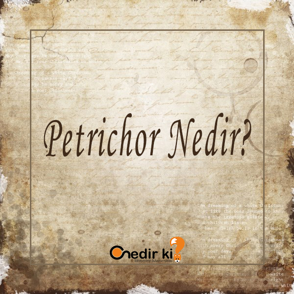 Petrichor Nedir? 1