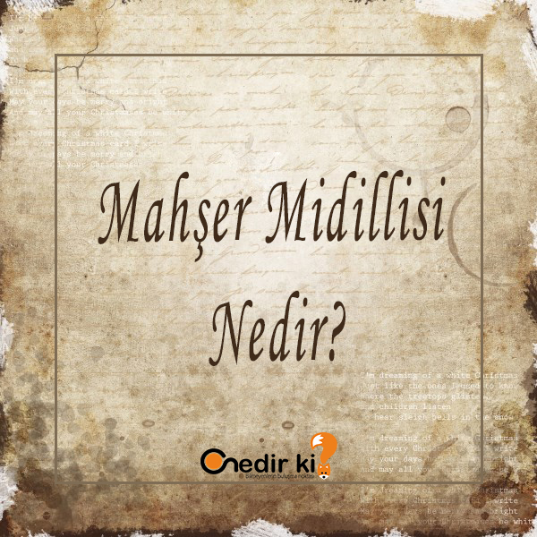 Mahşer Midillisi Nedir? 1