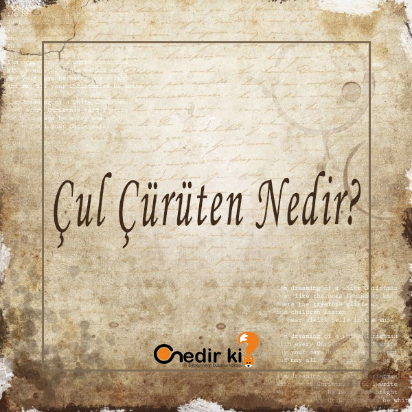 Çul Çürüten Nedir? 9
