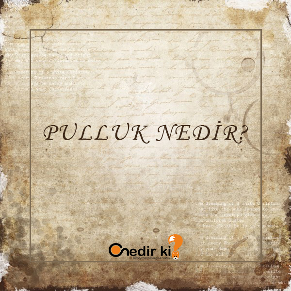 Pulluk Nedir? 11