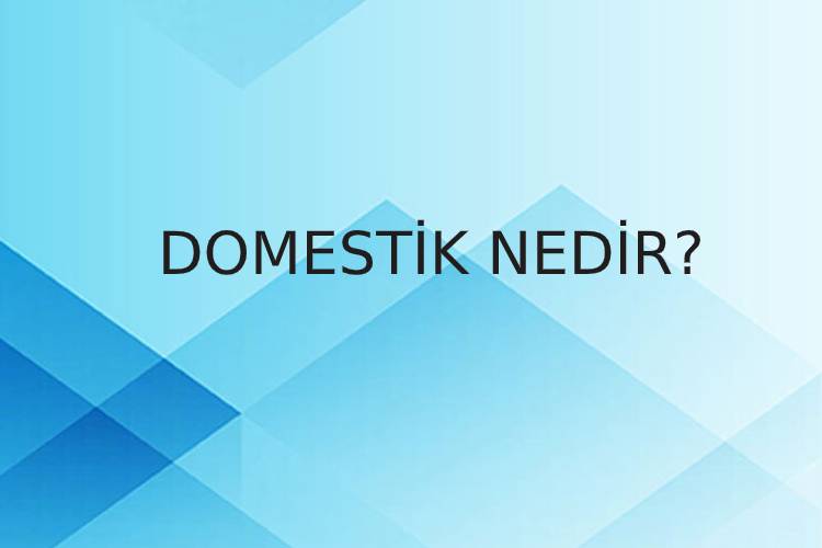 Domestik Nedir? 6