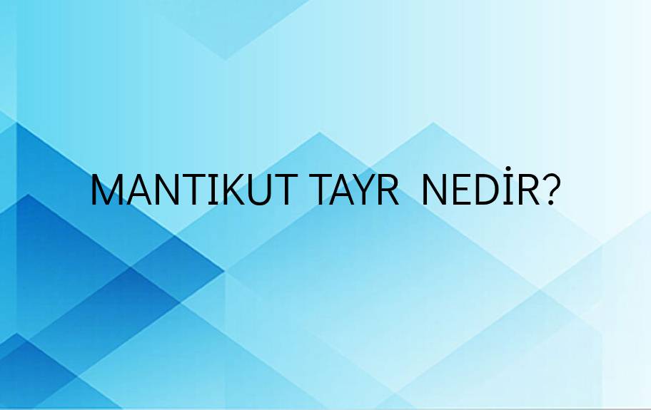 Mantıkut tayr Nedir? 1