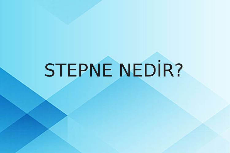 Stepne Nedir? 1