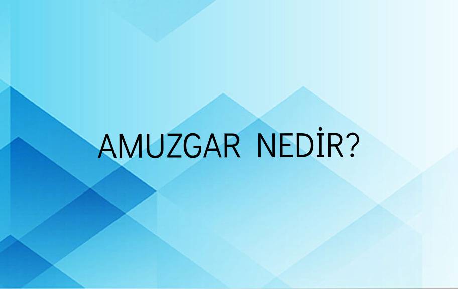 Amuzgar Nedir? 3