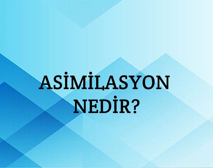 Asimilasyon Nedir? 1