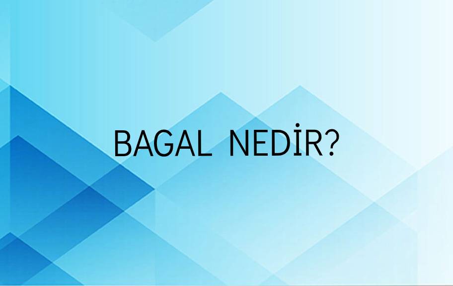 Bagal Nedir? 1