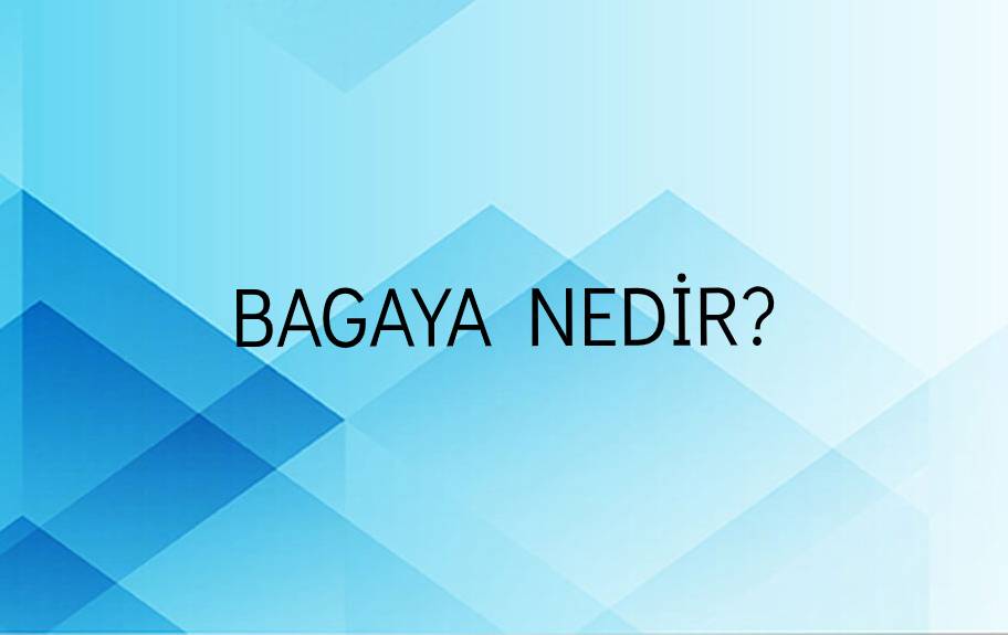 Bagaya Nedir? 7